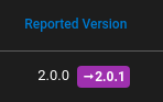 Example of Reported Version column